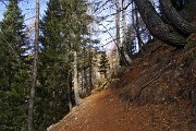 32 Breve tratto su sentiero 201